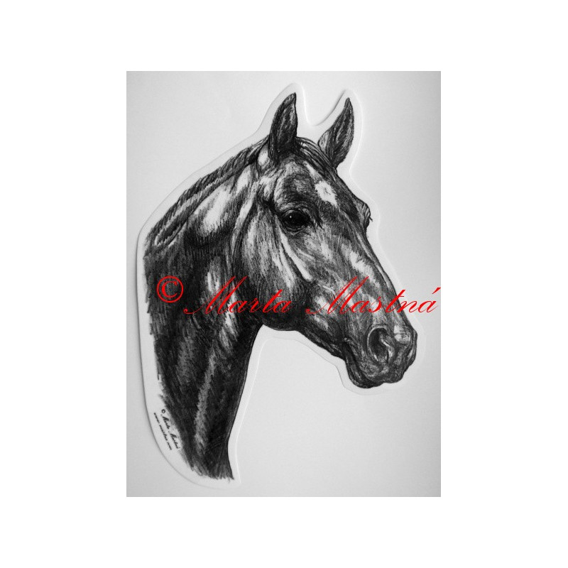 Samolepka kůň teplokrevník