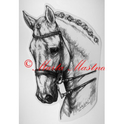 Samolepka kůň teplokrevník, drezura