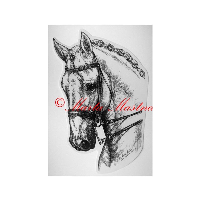 Samolepka kůň teplokrevník, drezura