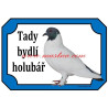 Cedulka holub slezský barevnohlávek