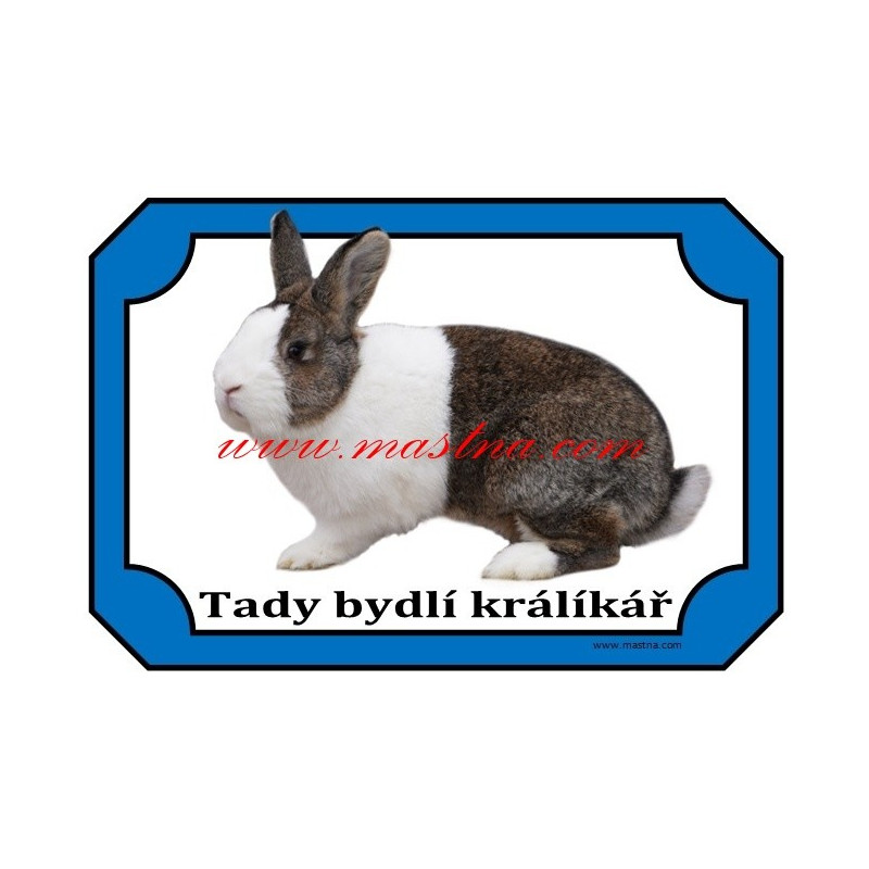 Cedulka králík holandský