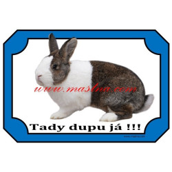 Cedulka králík holandský