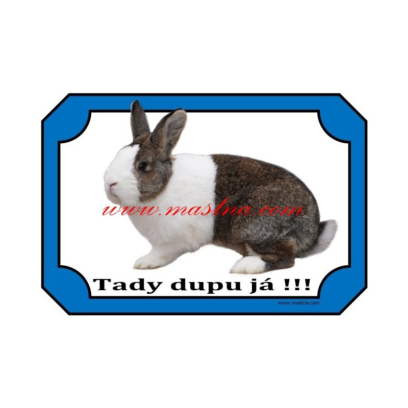 Cedulka králík holandský