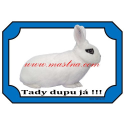 Cedulka králík hototský