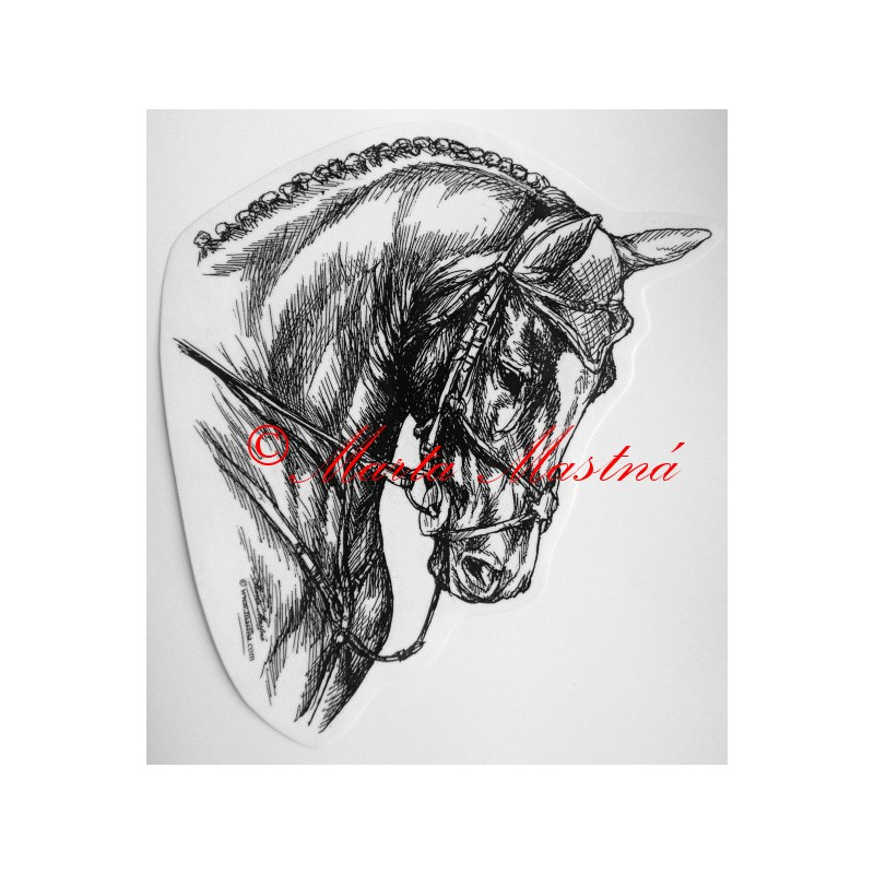 Samolepka kůň teplokrevník, drezura