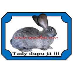 Cedulka králík belgický obr