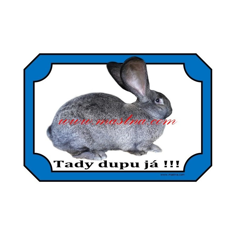 Cedulka králík belgický obr