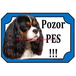 Tabulka kavalír king Charles španěl