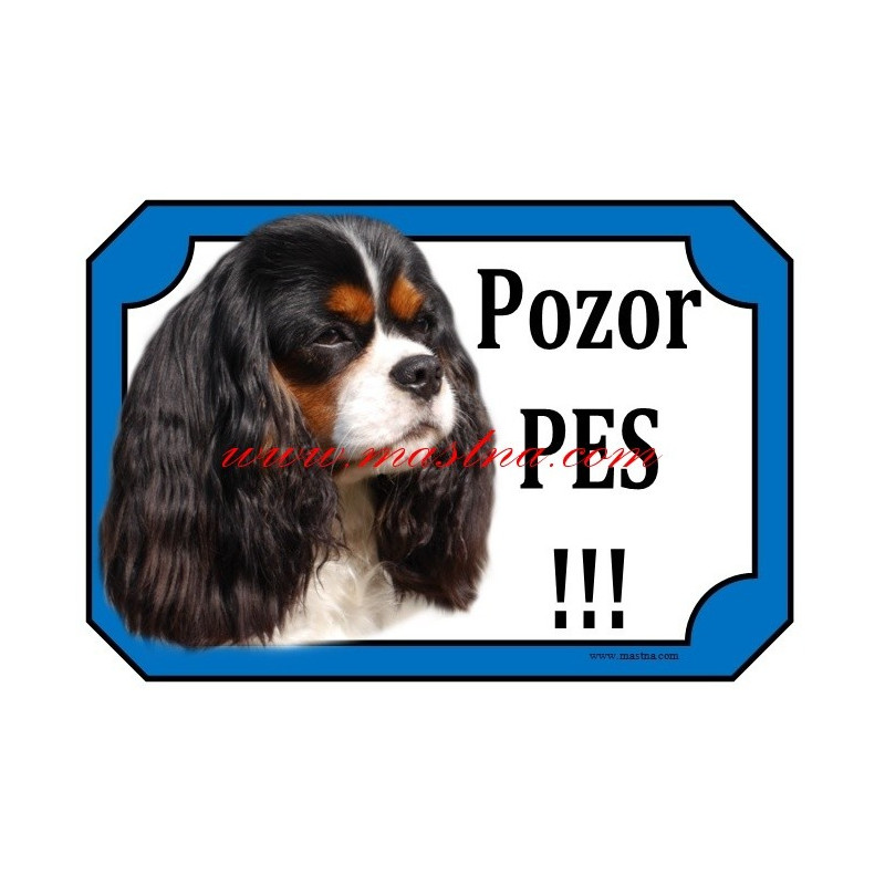 Tabulka kavalír king Charles španěl