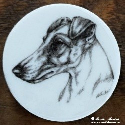 Foxteriér magnet nebo placka