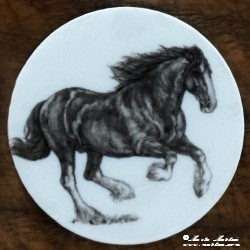 Shire horse, kůň, koně magnet nebo placka
