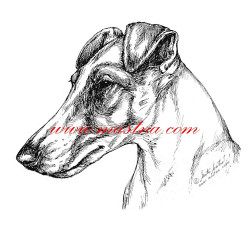 Samolepka foxteriér