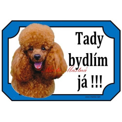 Cedulka pudl aprikot