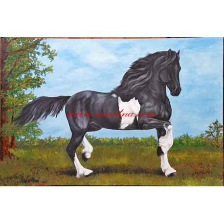 Obraz koně, kůň, barokní pinto