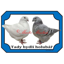 Cedulka holub gigant homer