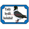 Cedulka holub moravský pštros černý