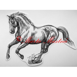 Samolepka kůň teplokrevník