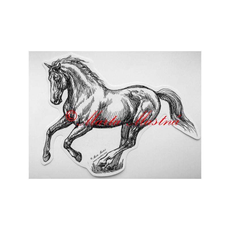 Samolepka kůň teplokrevník