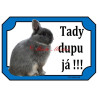 Cedulka králík zakrslý bílopesíkatý modrý