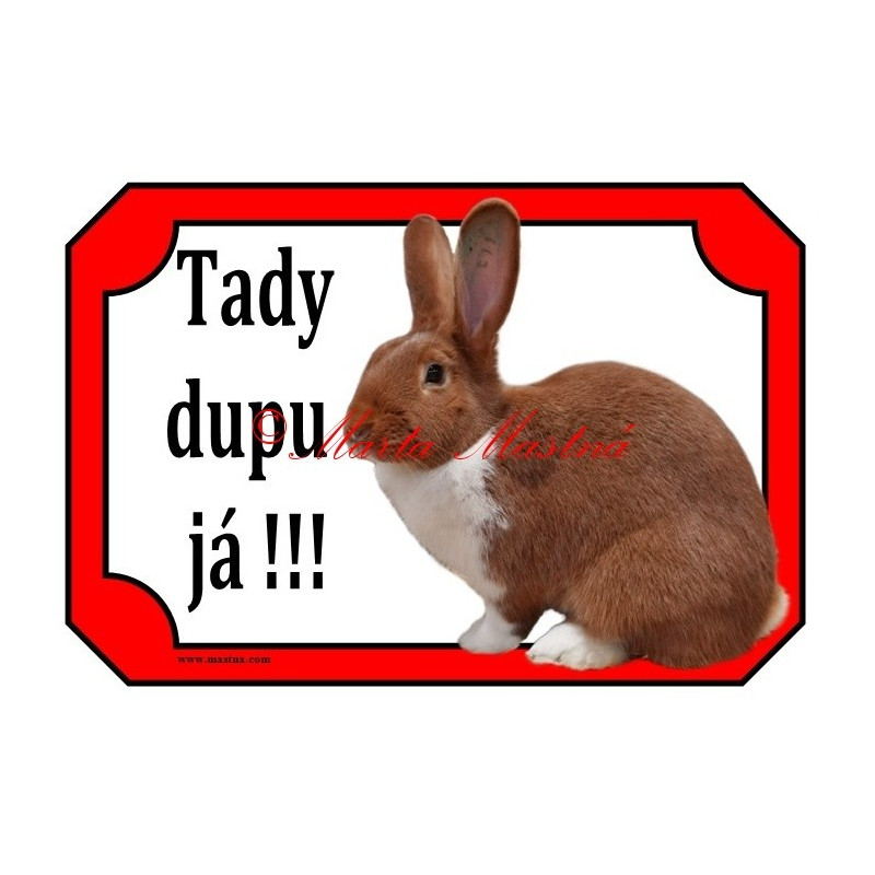 Tabulka králík meklenburský strakáč červený