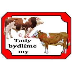 Tabulka kráva, býk, český strakatý, červenostrakatý skot