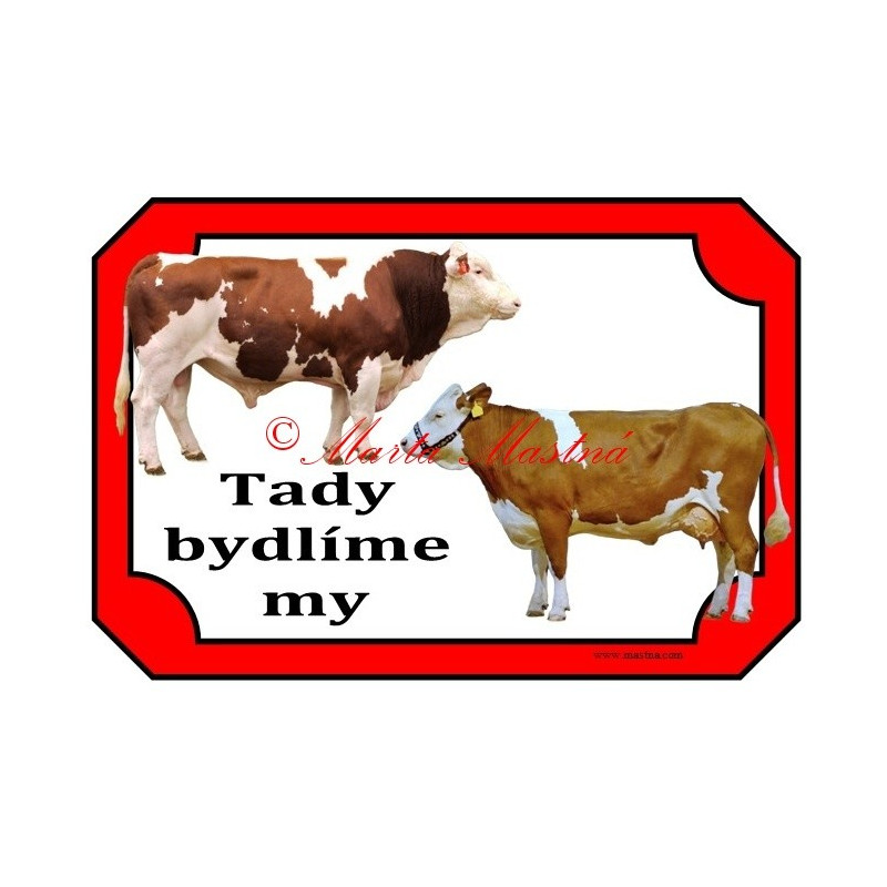 Tabulka kráva, býk, český strakatý, červenostrakatý skot