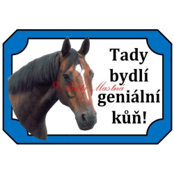 Tabulka kůň, koně, teplokrevník