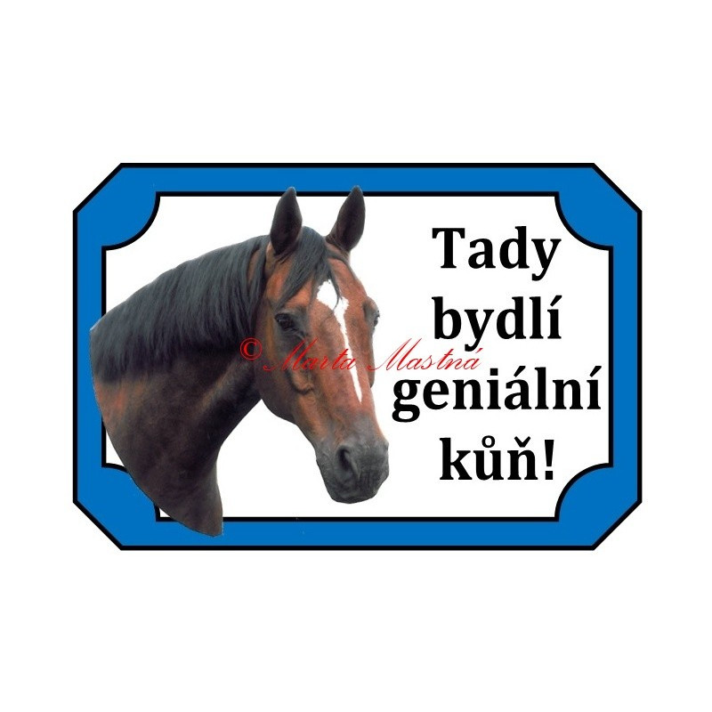 Tabulka kůň, koně, teplokrevník