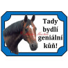 Tabulka kůň, koně, teplokrevník