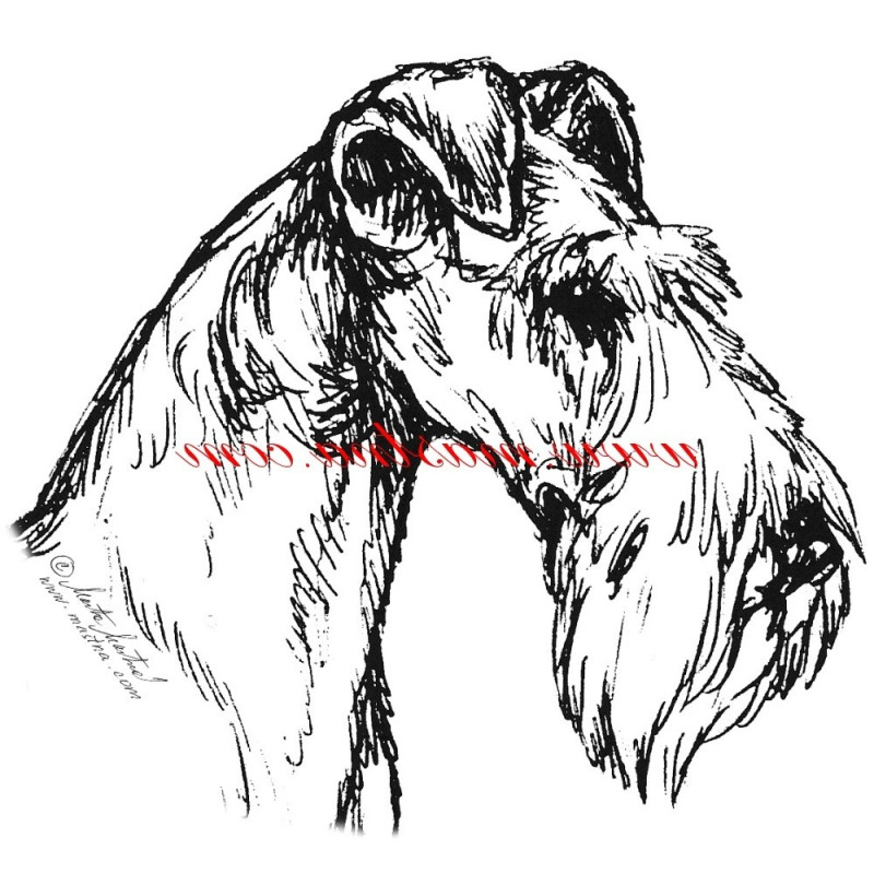 Samolepka foxteriér