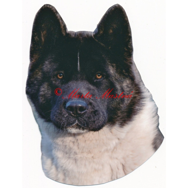 Samolepka akita americká