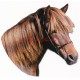 Samolepka islandský kůň, pony, koně