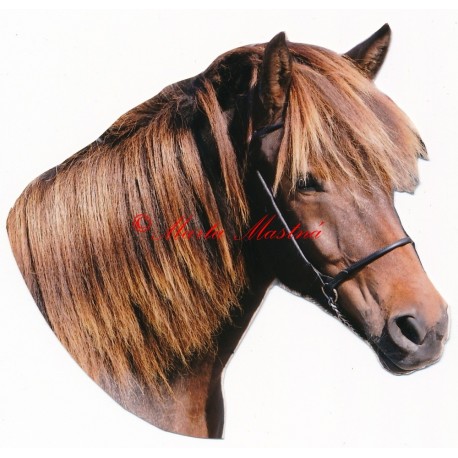 Samolepka islandský kůň, pony, koně