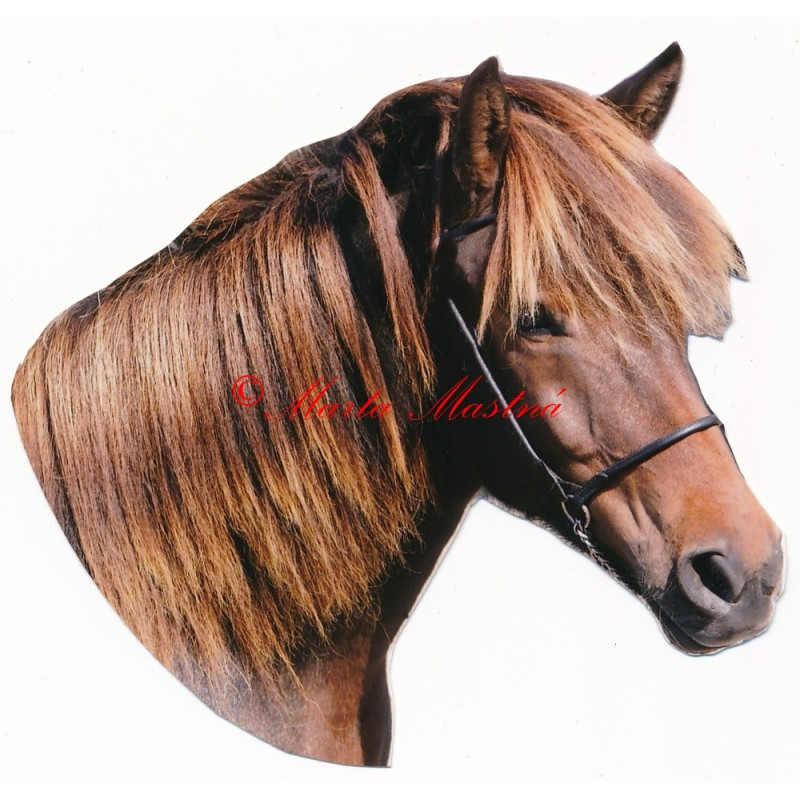 Samolepka islandský kůň, pony, koně