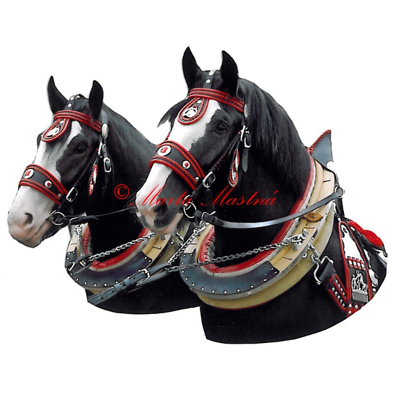 Samolepka shirský kůň, shire, koně