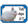 Cedulka králík hermelín