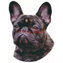 Samolepka francouzský buldoček