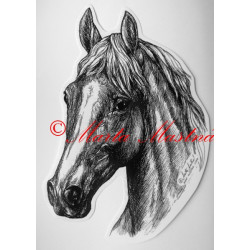 Samolepka kůň teplokrevník