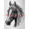Samolepka kůň teplokrevník