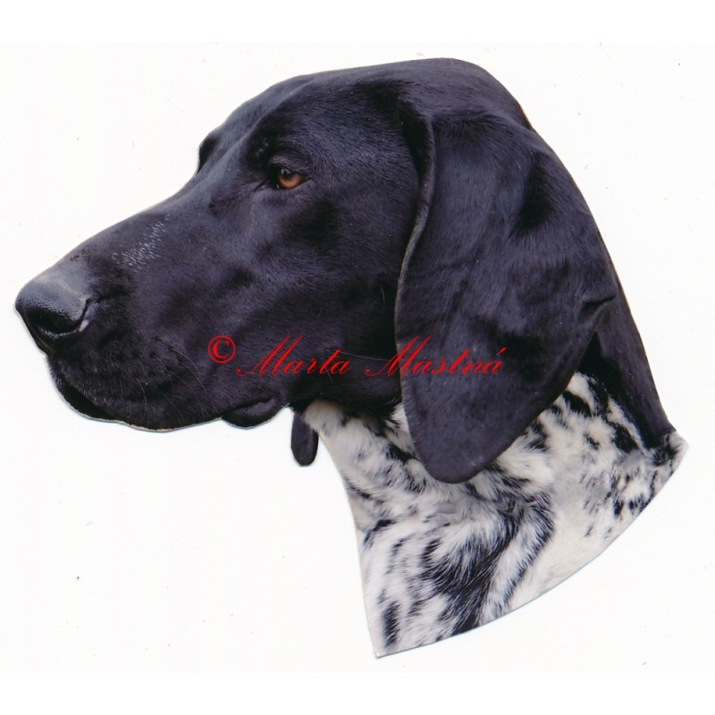 Samolepka německý ohař krátkostsrtý