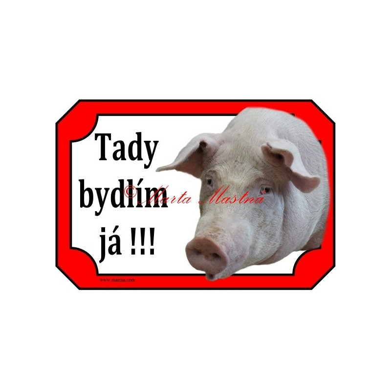 Tabulka prase bílé ušlechtilé