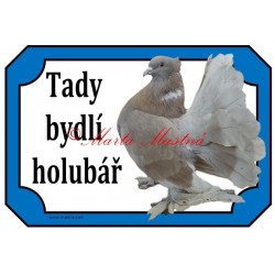 Cedulka holub pávík indický
