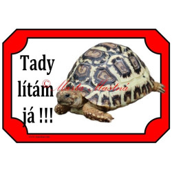 Cedulka želva