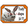 Cedulka králík rex tříbarevný strakáč