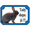 Cedulka králík rex modrý