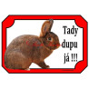 Cedulka králík dailenar