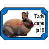 Cedulka králík durynský