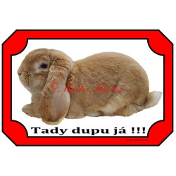 Cedulka králík francouzský beran