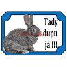 Cedulka králík činčila velká
