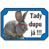Cedulka králík belgický obr činčilový